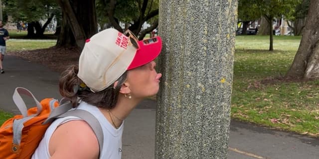 Lick a public pole